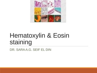 Hematoxylin & Eosin
staining
DR. SARA A.G. SEIF EL DIN
 