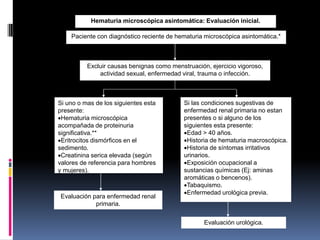 Hematuria microscópica asintomática: Evaluación inicial.

    Paciente con diagnóstico reciente de hematuria microscópica asintomática.*



          Excluir causas benignas como menstruación, ejercicio vigoroso,
              actividad sexual, enfermedad viral, trauma o infección.



Si uno o mas de los siguientes esta         Si las condiciones sugestivas de
presente:                                   enfermedad renal primaria no estan
Hematuria microscópica                     presentes o si alguno de los
acompañada de proteinuria                   siguientes esta presente:
significativa.**                            Edad > 40 años.
Eritrocitos dismórficos en el              Historia de hematuria macroscópica.
sedimento.                                  Historia de síntomas irritativos
Creatinina serica elevada (según           urinarios.
valores de referencia para hombres          Exposición ocupacional a
y mujeres).                                 sustancias químicas (Ej: aminas
                                            aromáticas o bencenos).
                                            Tabaquismo.
                                            Enfermedad urológica previa.
Evaluación para enfermedad renal
            primaria.

                                                   Evaluación urológica.
 