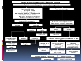 Hematuria microscópica asintomática: Evaluación urológica.
                                   Paciente sin condición sugestiva de enfermedad renal primaria.


                              Paciente de bajo riesgo:                                        Paciente de alto riesgo.
                                   Edad < de 40 años.
                           No historia de tabaquismo.
                  No historia de exposición a agentes químicos.
                         No síntomas irritativos urinarios.
                         No historia de hematuria macroscópica.
                          No historia de enfermedad urológica.

                         Imágenes del tracto superior
                                                                                         Evaluación completa (Imágenes de
                                                                                       tracto superior, citología y cistoscopia).
                  Citología                       Cistoscopia


                                                                                            Positivo                Negativo
                                             Negativo           Positivo


                                                              Tratamiento                Tratamiento

Positiva, atípica o           Negativo           Considerar                    Uroanálisis, presión arteria y citología a los 6, 12, 24 y
  sospechosa                                                                                          36 meses

                                                                 Negativo por 3          Hematuria persistente,                Hematuria
    Cistoscopia                   Negativo
                                                                     años                    hipertensión,            macroscópica, citología
                                                                                         proteinuria, sangrado           anormal, síntomas
     Positivo                                                                                 glomerular              irritativos sin infección.
                                                                No requiere más
   Tratamiento                                                      estudios           Evaluar para enfermedad           Repetir evaluación
                                                                                            renal primaria.                 completa


                                                        Sangrado glomerular o proteinuria                 Hematuria aislada

                                                                       Biopsia renal                    Biopsia controversial
 