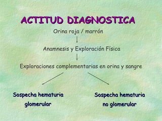 ACTITUD DIAGNOSTICA
                 Orina roja / marrón


          Anamnesis y Exploración Física


  Exploraciones complementarias en orina y sangre




Sospecha hematuria              Sospecha hematuria
    glomerular                     no glomerular
 