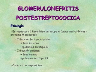 GLOMERULONEFRITIS
    POSTESTREPTOCOCICA
Etiología
› Estreptococo β hemolítico del grupo A (cepas nefrotóxicas -
proteina M en pared).
   • Infección faringoamigdalar
       ·+ frec invierno
       · epidemias serotipo 12
   • Infección cutánea
       ·+ frec verano
       ·epidemias serotipo 49

› Curso + frec esporádico.
 