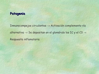 Patogenia


Inmunocompejos circulantes → Activación complemento vía

alternativa → Se depositan en el glomérulo los IC y el C3 →

Respuesta inflamatoria
 