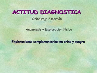 ACTITUD DIAGNOSTICA
             Orina roja / marrón


         Anamnesis y Exploración Física


Exploraciones complementarias en orina y sangre
 