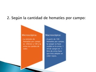 2. Según la cantidad de hematíes por campo:



        Microscópica:             Macroscópica:
        •La emisión de            •A partir de 100
         hematíes por campo        hematíes por campo,
         es inferior a 100 y la    la sangre se hace
         orina no cambia de        visible en la orina. 1
         color.                    ml de sangre en 1
                                   litro de orina hace
                                   que ésta adopte un
                                   color rojizo.
 