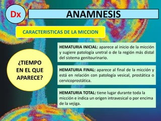 Dx ANAMNESIS
CARACTERISTICAS DE LA MICCION
¿TIEMPO
EN EL QUE
APARECE?
HEMATURIA INICIAL: aparece al inicio de la micción
y sugiere patología uretral o de la región más distal
del sistema genitourinario.
HEMATURIA FINAL: aparece al final de la micción y
está en relación con patología vesical, prostática o
cervicoprostática.
HEMATURIA TOTAL: tiene lugar durante toda la
micción e indica un origen intravesical o por encima
de la vejiga.
 