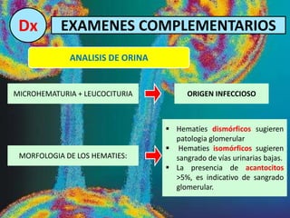 Dx EXAMENES COMPLEMENTARIOS
ANALISIS DE ORINA
ORIGEN INFECCIOSOMICROHEMATURIA + LEUCOCITURIA
MORFOLOGIA DE LOS HEMATIES:
 Hematíes dismórficos sugieren
patologia glomerular
 Hematies isomórficos sugieren
sangrado de vías urinarias bajas.
 La presencia de acantocitos
>5%, es indicativo de sangrado
glomerular.
 