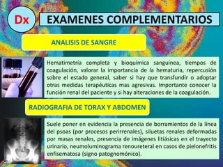 Dx EXAMENES COMPLEMENTARIOS
ANALISIS DE SANGRE
Hematimetría completa y bioquímica sanguínea, tiempos de
coagulación, valorar la importancia de la hematuria, repercusión
sobre el estado general, saber si hay que transfundir o adoptar
otras medidas terapéuticas mas agresivas. Importante conocer la
función renal del paciente y si hay alteraciones de la coagulación.
RADIOGRAFIA DE TORAX Y ABDOMEN
Suele poner en evidencia la presencia de borramientos de la línea
del psoas (por procesos perirrenales), siluetas renales deformadas
por masas renales, presencia de imágenes litiásicas en el trayecto
urinario, neumoluminograma renoureteral en casos de pielonefritis
enfisematosa (signo patognomónico).
 