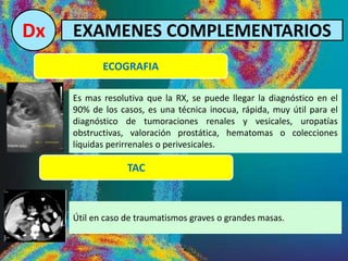 Dx EXAMENES COMPLEMENTARIOS
ECOGRAFIA
Es mas resolutiva que la RX, se puede llegar la diagnóstico en el
90% de los casos, es una técnica inocua, rápida, muy útil para el
diagnóstico de tumoraciones renales y vesicales, uropatías
obstructivas, valoración prostática, hematomas o colecciones
líquidas perirrenales o perivesicales.
TAC
Útil en caso de traumatismos graves o grandes masas.
 