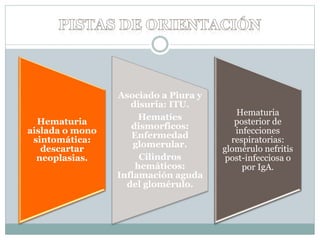 Hematuria
aislada o mono
sintomática:
descartar
neoplasias.
Asociado a Piura y
disuria: ITU.
Hematíes
dismorficos:
Enfermedad
glomerular.
Cilindros
hemáticos:
Inflamación aguda
del glomérulo.
Hematuria
posterior de
infecciones
respiratorias:
glomérulo nefritis
post-infecciosa o
por IgA.
 
