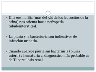  Una eosinofilia (más del 5% de los leucocitos de la
orina) nos orienta hacia nefropatía
tubulointersticial.
 La piuria y la bacteriuria son indicativos de
infección urinaria.
 Cuando aparece piuria sin bacteriuria (piuria
estéril) y hematuria el diagnóstico más probable es
de Tuberculosis renal
 