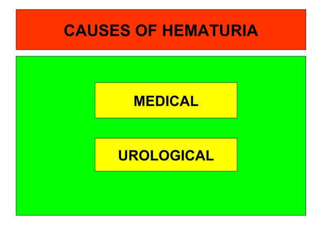 Hematuria | PPT