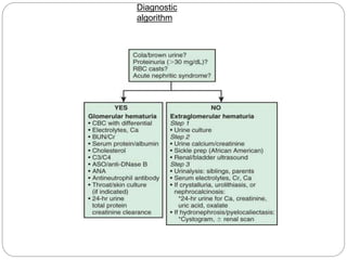 Diagnostic
algorithm
 