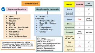Hematuriaเืเดืเดืดเืเดืเดืดเืเดืเดืดืเดืเดื | PDF