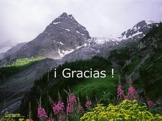 ¡ Gracias ! 