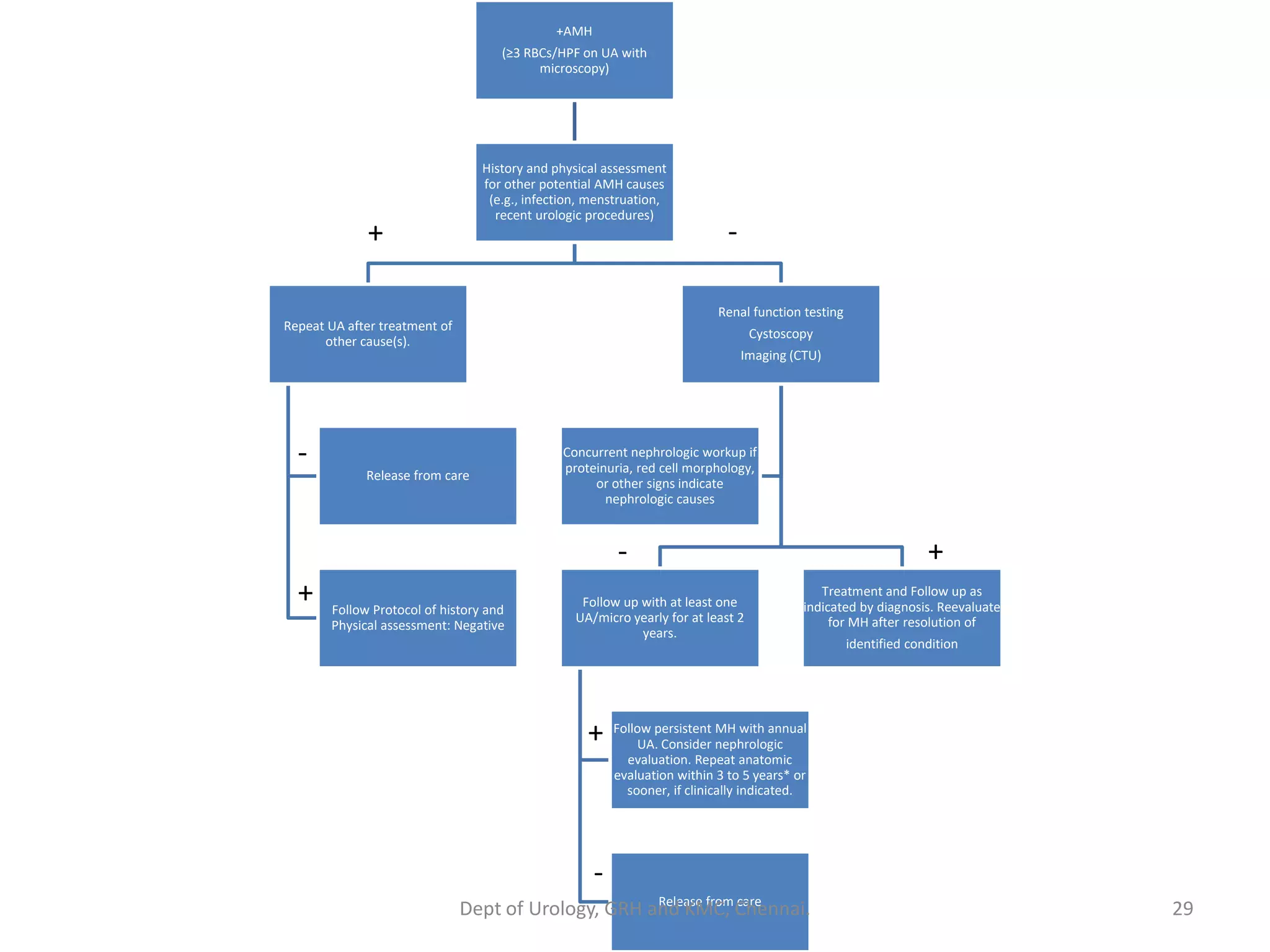 Hematuria - evaluation and management | PDF