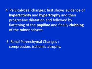 IgA nephropathy (Berger's disease) 