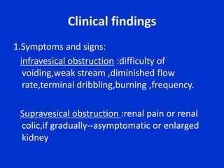 Goodpasture's syndrome