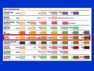  The reagent strip that detects blood utilizes hydrogen peroxide, which catalyzes a chemical reaction between hemoglobin (or myoglobin) and the chromogentetramethylbenzidine
