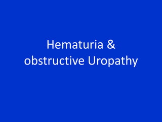 Hematuria & obstructive Uropathy 