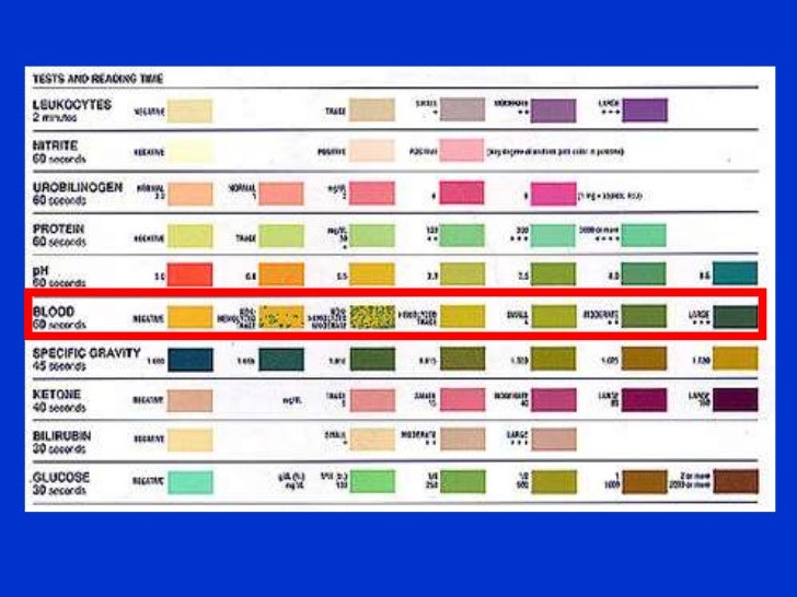 Hematuria and obstructive uropathy
