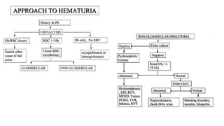 Approach to Hematuria | PPTX