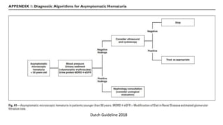 Approach to Hematuria | PPTX