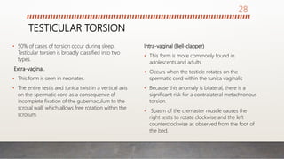 TESTICULAR TORSION
• 50% of cases of torsion occur during sleep.
Testicular torsion is broadly classified into two
types.
Extra-vaginal.
• This form is seen in neonates.
• The entire testis and tunica twist in a vertical axis
on the spermatic cord as a consequence of
incomplete fixation of the gubernaculum to the
scrotal wall, which allows free rotation within the
scrotum.
Intra-vaginal (Bell-clapper)
• This form is more commonly found in
adolescents and adults.
• Occurs when the testicle rotates on the
spermatic cord within the tunica vaginalis
• Because this anomaly is bilateral, there is a
significant risk for a contralateral metachronous
torsion.
• Spasm of the cremaster muscle causes the
right testis to rotate clockwise and the left
counterclockwise as observed from the foot of
the bed.
28
 