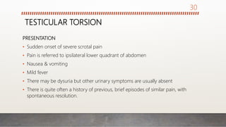 TESTICULAR TORSION
PRESENTATION
• Sudden onset of severe scrotal pain
• Pain is referred to ipsilateral lower quadrant of abdomen
• Nausea & vomiting
• Mild fever
• There may be dysuria but other urinary symptoms are usually absent
• There is quite often a history of previous, brief episodes of similar pain, with
spontaneous resolution.
30
 