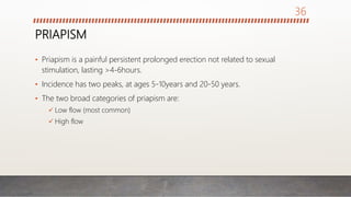 PRIAPISM
• Priapism is a painful persistent prolonged erection not related to sexual
stimulation, lasting >4-6hours.
• Incidence has two peaks, at ages 5-10years and 20-50 years.
• The two broad categories of priapism are:
 Low flow (most common)
 High flow
36
 