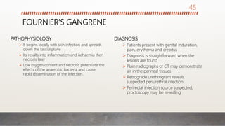 FOURNIER’S GANGRENE
PATHOPHYSIOLOGY
 It begins locally with skin infection and spreads
down the fascial plane
 Its results into inflammation and ischaemia then
necrosis later
 Low oxygen content and necrosis potentiate the
effects of the anaerobic bacteria and cause
rapid dissemination of the infection.
DIAGNOSIS
 Patients present with genital induration,
pain, erythema and crepitus
 Diagnosis is straightforward when the
lesions are found
 Plain radiographs or CT may demonstrate
air in the perineal tissues
 Retrograde urethrogram reveals
suspected periurethral infection
 Perirectal infection source suspected,
proctoscopy may be revealing
45
 