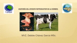 ANATOMÍA DEL APARATO REPRODUCTOR DE LA HEMBRA
MVZ. Debbie Chávez García MSc.
 