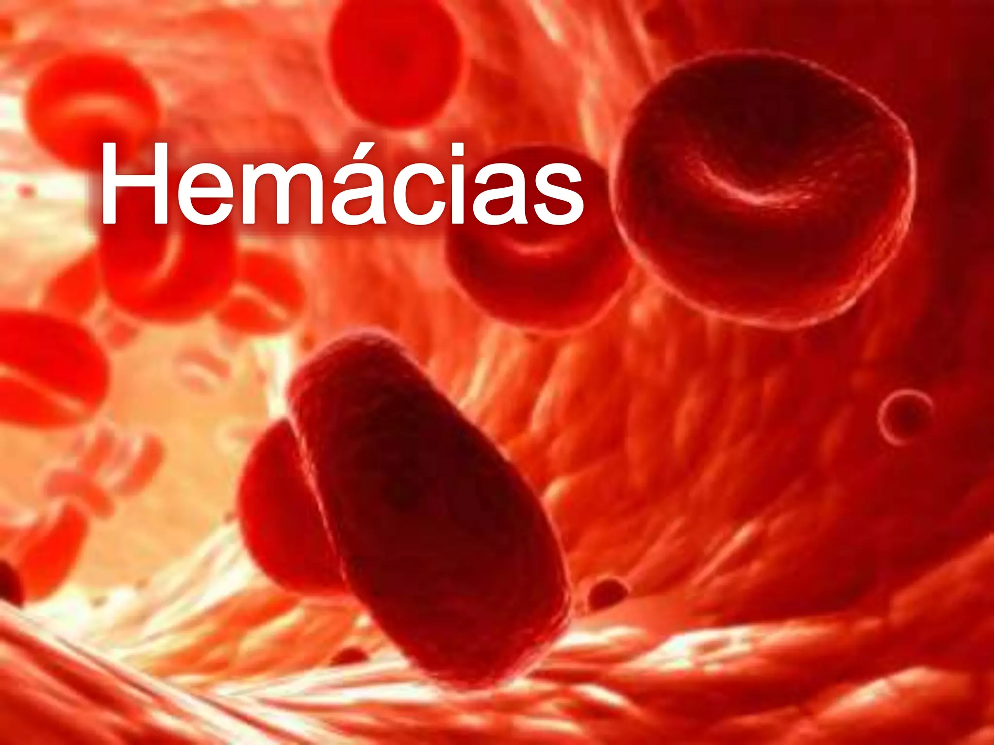 Células sanguíneas de linhagem mielóide; forma, composição e função das ...