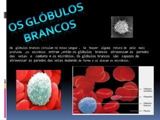 A anemia pode dever-se à deficiente produção de glóbulos vermelhos , sendo que a mais frequente se deve à falta de ferro, a anemia ferropénica, e consiste na  destruição exagerada de glóbulos vermelhos , que surgem com formas  anormais, sendo neste caso a ordem genética (como a talassémia e  a anemia de células falciformes.) OS GLÓBULOS BRANCOsOs  glóbulos brancos circulam no nosso sangue .  Se  houver  alguma  rotura de  pele  mais profunda  ,os  micróbios  entram ,então os glóbulos  brancos  atravessam as  paredes  das  veias  e  combate m os micróbios. Os glóbulos brancos  são  capazes de  atravessar as paredes das veias mudando de forma e aí atacam os micróbios.    