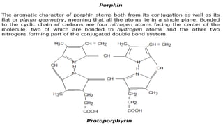 heme and chlorophyll.pptx