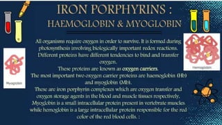 heme and chlorophyll.pptx