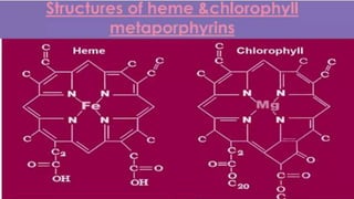 heme and chlorophyll.pptx