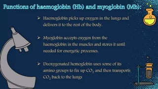 heme and chlorophyll.pptx