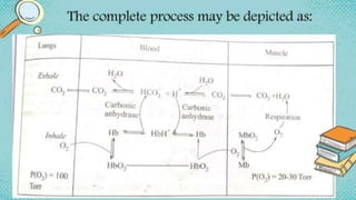 heme and chlorophyll.pptx