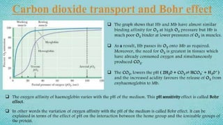 heme and chlorophyll.pptx