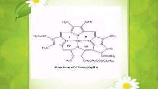 heme and chlorophyll.pptx
