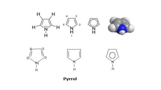heme and chlorophyll.pptx
