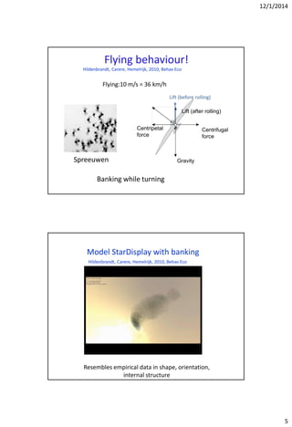 12/1/2014
5
Flying behaviour!
Spreeuwen
Lift (before rolling)
Lift (after rolling)
Gravity
Centripetal
force
Centrifugal
force
Flying:10 m/s = 36 km/h
Banking while turning
Hildenbrandt, Carere, Hemelrijk, 2010, Behav Eco
Model StarDisplay with banking
Resembles empirical data in shape, orientation,
internal structure
Hildenbrandt, Carere, Hemelrijk, 2010, Behav Eco
 
