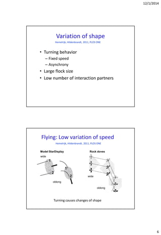 12/1/2014
6
Variation of shape
• Turning behavior
– Fixed speed
– Asynchrony
• Large flock size
• Low number of interaction partners
Hemelrijk, Hildenbrandt, 2011, PLOS ONE
Model StarDisplay
wide
oblong
Rock doves
oblong
wide
Turning causes changes of shape
Flying: Low variation of speed
Hemelrijk, Hildenbrandt, 2011, PLOS ONE
 