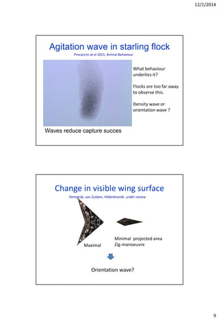 12/1/2014
9
Agitation wave in starling flock
Waves reduce capture succes
Procaccini at el 2011, Animal Behaviour
What behaviour
underlies it?
Flocks are too far away
to observe this.
Density wave or
orientation wave ?
Change in visible wing surface
Maximal
Minimal projected area
Zig-manoeuvre
Orientation wave?
Hemelrijk, van Zuidam, Hildenbrandt, under review
 
