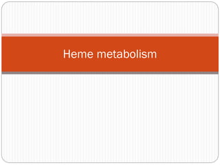 Heme metabolism
 