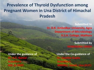 Prevalence of Thyroid Dysfunction among
Pregnant Women in Una District of Himachal
Pradesh
Submitted to
Dr. B.R. Ambedkar University, Agra
Department of Microbiology
B.S.A. College, Mathura
Submitted by
HEMENDRA SINGH
Under the guidance of Under the Co-guidance of
Dr. A.K. Bansal Dr. Geetika Gupta
Scientist-E Scientist-C
NJIL & OMD MRHRU, Haroli, Una (H.P.)
 