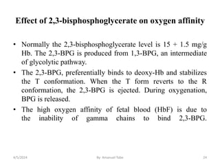 Hemoglobin and myoglobin are two important proteins involved in the ...