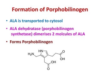 Heme synthesis | PPTX