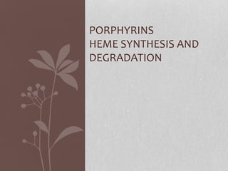 PORPHYRINS
HEME SYNTHESIS AND
DEGRADATION
 