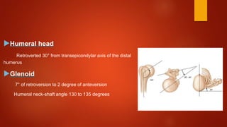 Humeral head
Retroverted 30° from transepicondylar axis of the distal
humerus
Glenoid
7° of retroversion to 2 degree of anteversion
Humeral neck-shaft angle 130 to 135 degrees
 